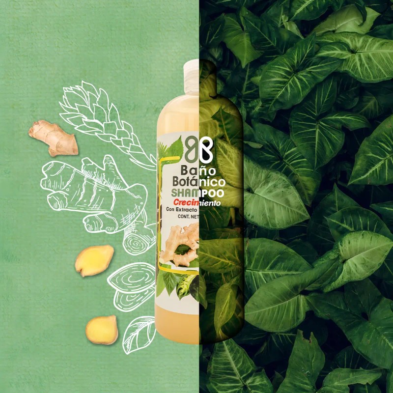 Shampoo Bao Botanico Extracto De Jengibre (crecimiento)1 Lt