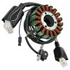 For Kawasaki Stator for Kawasaki KLX250S KLX250 S KLX 250