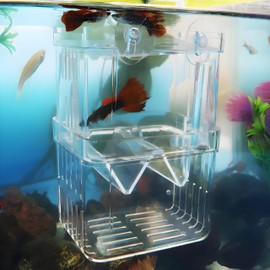Aquarium Fish Breeding Box, Transparent Acrylic Baby Fish Separator for Tank Breeding Incubator Box for Betta Goldfish Fry Guppy Shrimp Clownfish Tropical Fishes Small Isolation Box with Suction Cups