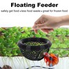 Betta Floating Feeder and Hideout, Aquarium Cave, Hammock, Decor, Beta