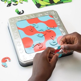 at Brain Toys One in a Chameleon Wicker Pot 6 to 10 Years