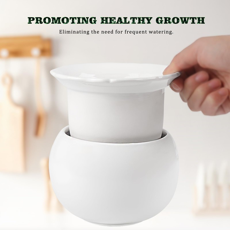 LITUDISO African Violet Pots, 6 Inch Self Watering Pots for