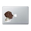 Ivybee Decals German Shorthaired Pointer Color Printed Vinyl Decal 2