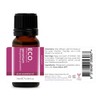 ECO. Modern Essentials Geranium Pure Essential Oil, 10ml