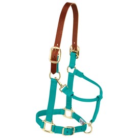 Weaver Leather Nylon Adjustable Breakaway Horse Halter, Yearling, Emerald Green