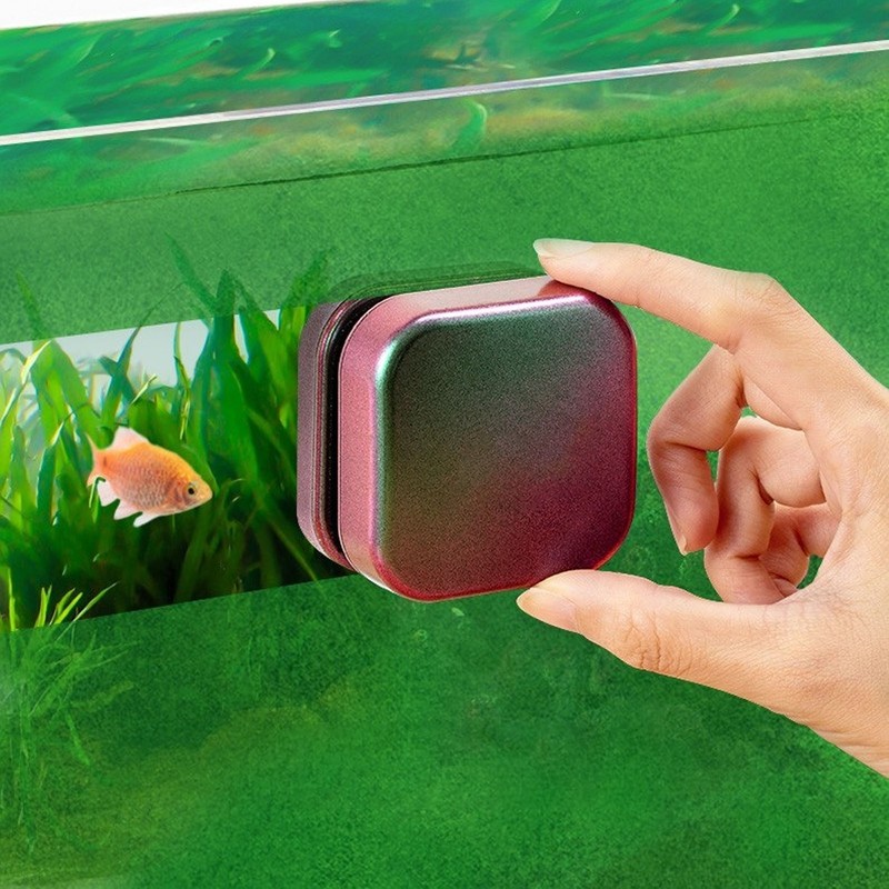 Mini Aquarium Magnetic Brush Gradient Color Double Sided Prevent Slip
