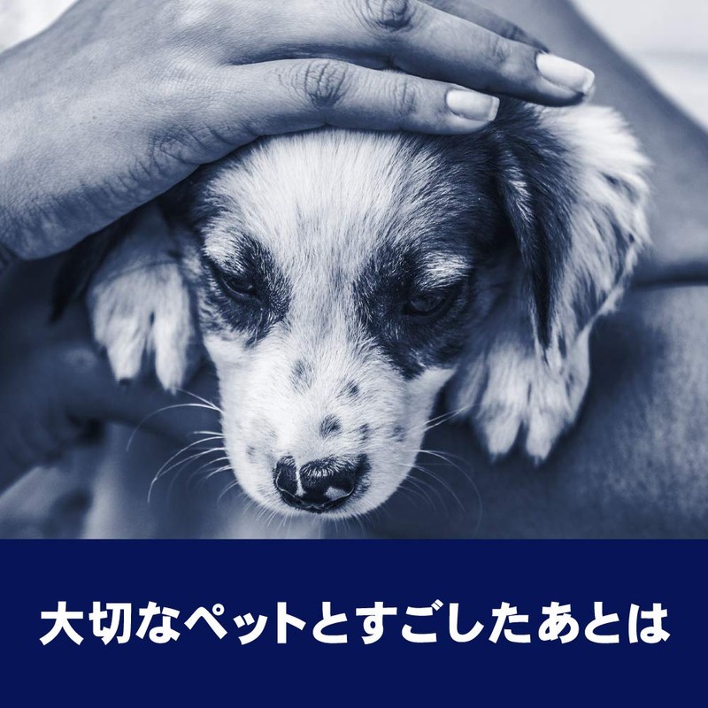 Biore GUARD Hand Gel Soap, Refill, Eucalyptus Herb Scent, 13.5