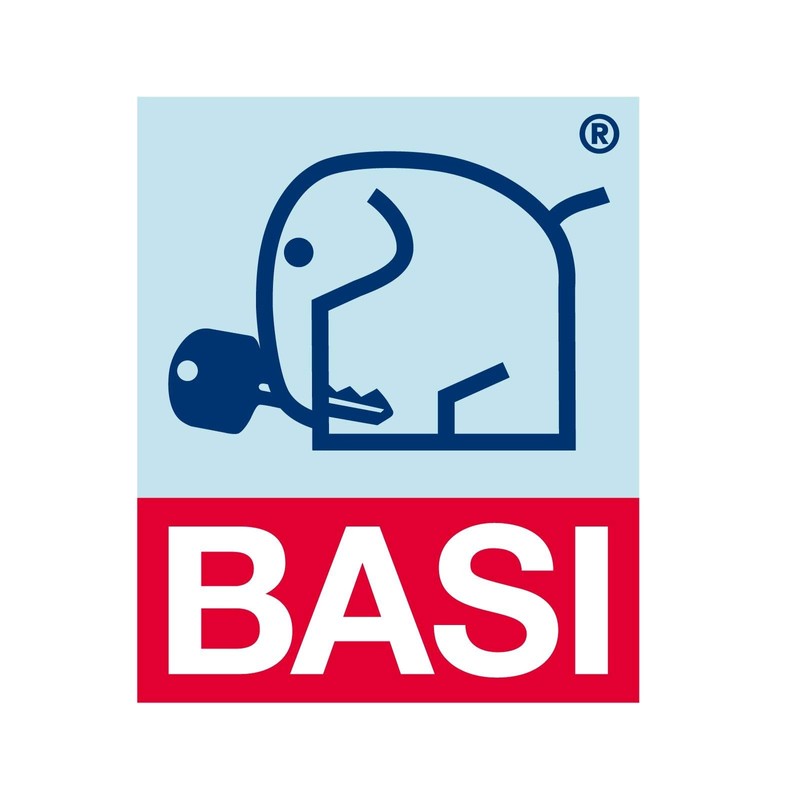 Basi 301V-7 Pin Key Silver, Multicoloured