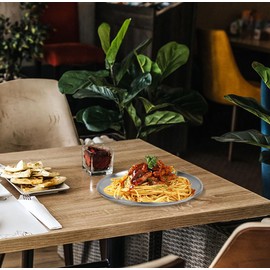 6 Pieces Stainless Steel Plates, 9 Inch Reusable Brushed Metal Dinner Plates, Metal Dinner Dishes, Feeding Serving Camping Plates, Gold Trays for Kitchen,Picnic, Outdoor Party(9 inch silver)