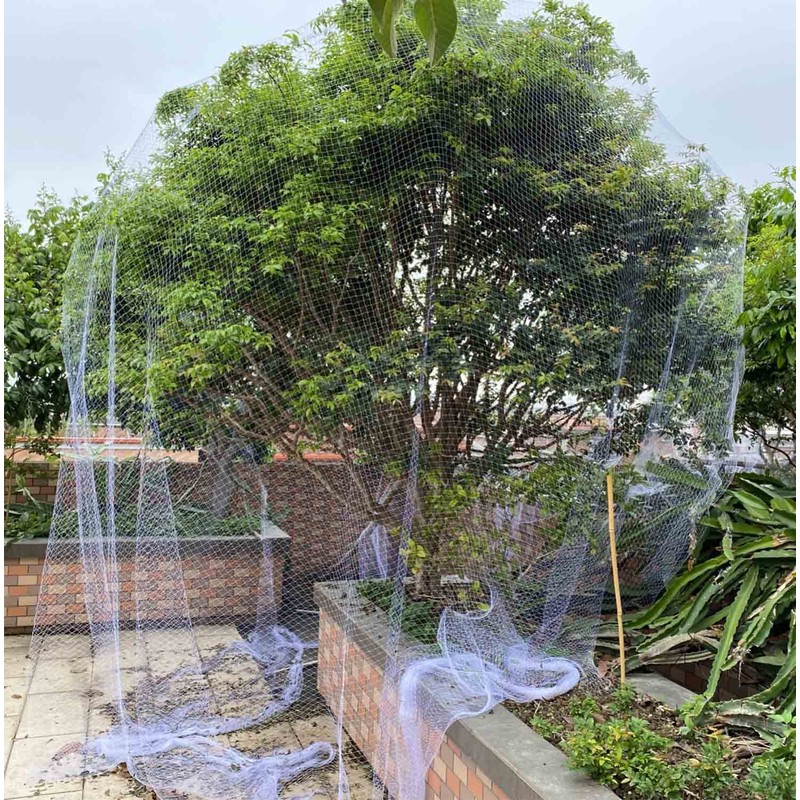 Bird Protection Net, 3 x 10 m Aviary Net, Pigeon