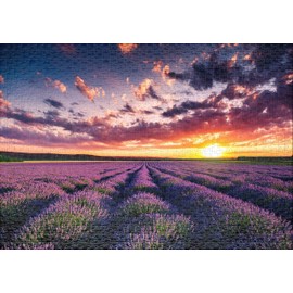 Ulmer Puzzleschmiede - Lavender Blossom Jigsaw Puzzle - Classic 1000 Piece Puzzle - Puzzle Motif of Endless Lavender Fields in Sunset in Provence, France
