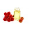 Sweet Essentials Organic Castor Seed Oil, 2oz Glass, Imported From