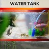 NQEUEPN 2pcs Aquatic Water Tank, Transparent Water Tank with Climbing