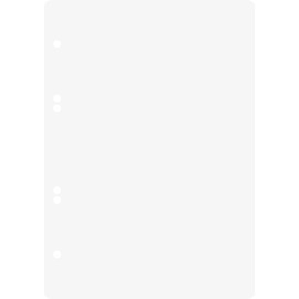 Brunnen 1066330 Ring Binder Pad A5, Plain, 100 Sheets, 70 g/m²