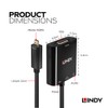 LINDY Micro HDMI (Type-D) to VGA/Audio Active Converter Adapter Cable