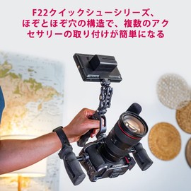 Ulanzi F22 Quick Shoe Quick Release Plate 1/4 Screw Camera Cage Clamp Camera Mount Adapter with 1/4" Screw, F22 QR System Camera Accessories Aluminum Alloy Material for Digital SLR Tripod Monopod