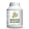 Quercetin 500 mg Mono Capsules without Additives - Made from
