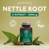 London Herbs Organic Stinging Nettle Root Extract 2000mg | High