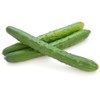 Japanese Cucumber Seeds (Shintokiwa) (20 Seeds)