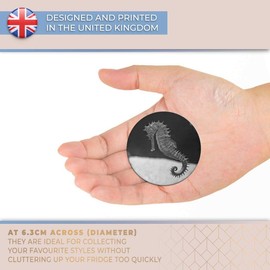 Destination Vinyl ltd Magnet for Refrigerator, Fridge BW - Cute Seahorse Fish Aquarium Ocean for Office, Cabinet and Whiteboard, Magnetic Stickers, 43503
