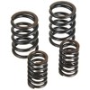 Kitaco 303-1018000 Reinforced Valve Spring Set, For Kitako SPL Cylinder