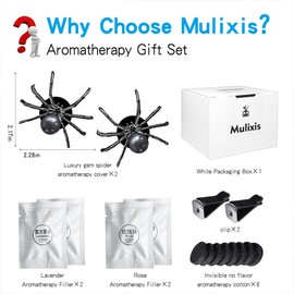 Mlulixis 2 Pack Car Vent Air Freshener Clip Aesthetic Car Accessories Spider Car Vent Air Freshener Black Bling Car Vent Accessories