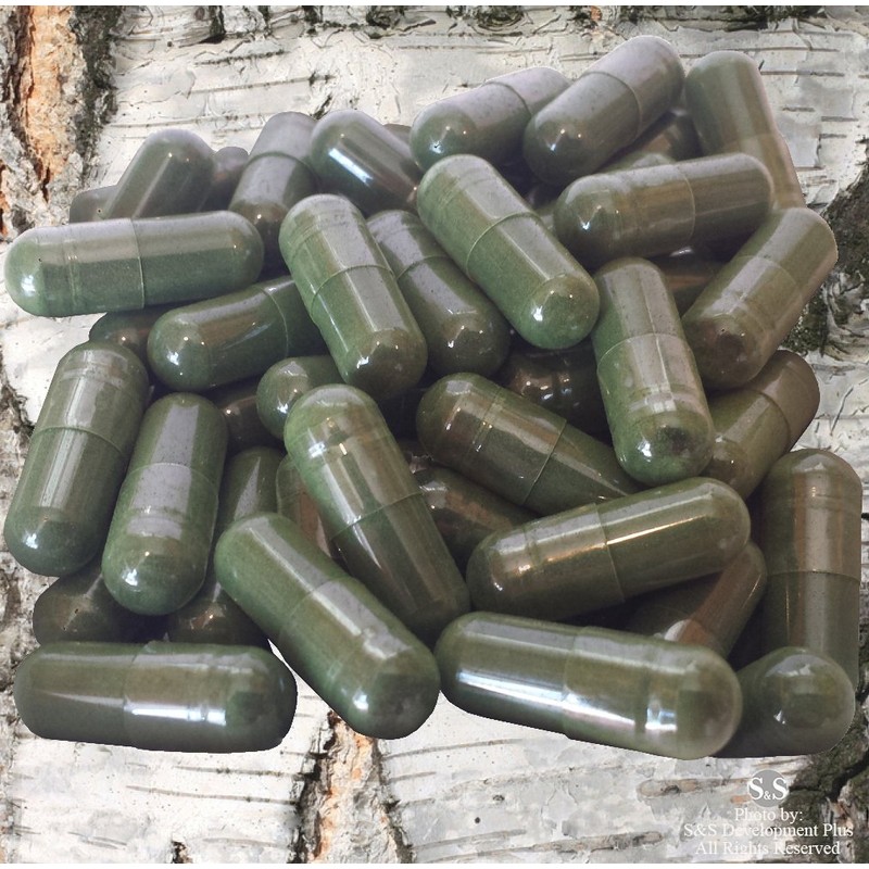 Siberian Chaga Extract Capsules Dietary Supplement 2 Month Supply 120