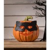 Bethany Lowe Cat Masquerade Pumpkin Jack-O-Lantern, Paper, Orange