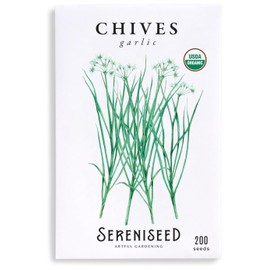 Sereniseed Certified Organic Garlic Chives Seeds – Non GMO, Heirloom – Seed Starting Video – Seeds for Indoor and Outdoor Planting (Allium tuberosum)