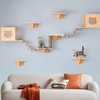 Cat Wall Shelves/Furniture, Shelves, Perches and Steps Set with 2