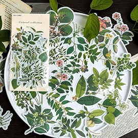 60pcs Laptop Stickers Scrapbook Stickers, Doraking DIY Decorative Green Plants Set Stickers for Laptop,Envelop,Scrapbook,Notebook,Luggage, Glasses(Plants Map)