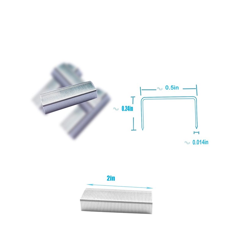 Standard Staples,Desktop Staples 1/4" (26/6), Galvanised Staples 26/6 Type, 1/4"