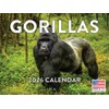 Gorilla Calendar 2026 Monthly Wall Calender 12 Month | American