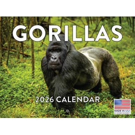 Gorilla Calendar 2026 Monthly Wall Calender 12 Month | American Made In The USA