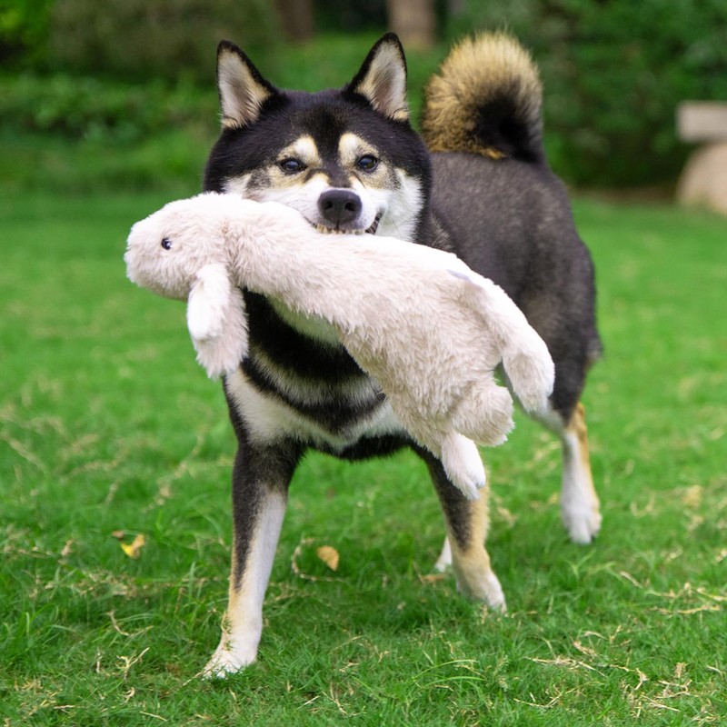 Best Pet Supplies Squeaky Dog Toys with Soft Durable Fabric