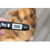 TEMPUP Dog Paw Saver - Keep Your Dog Safe and
