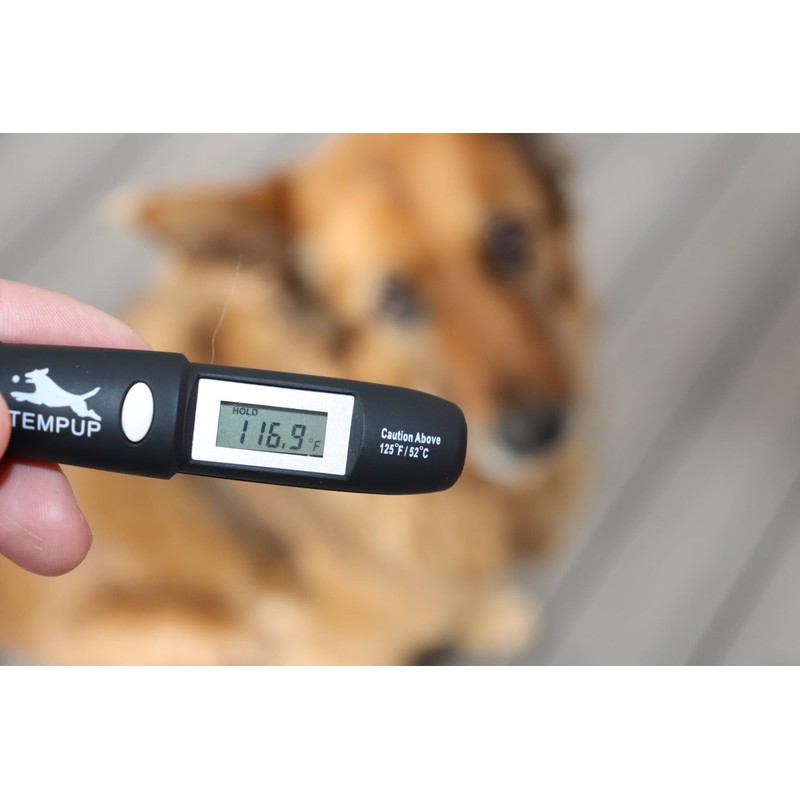 TEMPUP Dog Paw Saver - Keep Your Dog Safe and