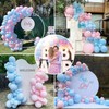 Pink and Blue Balloons Garland Arch Kit - Gender Reveal