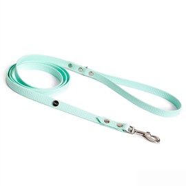 BURA 2.2 m Dog Lead for Large Dogs, Lightweight and Handy, Does Not Deform, Durable, Waterproof, Non-Allergen (Mint, S)