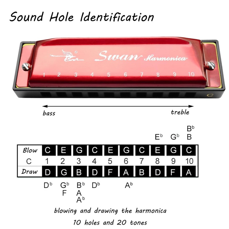 Harmonica C Major 10 Hole Blues Harp Diatonic Harmonica Harmonica