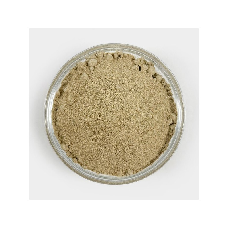 Oherb 국산 참당귀 당귀 가루 분말 250g 데커신 Korean Angelica
