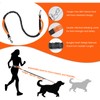 Hands Free Dog Leash with Zipper Waist Pouch Shock-Absorbing Bungee