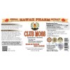 Club Moss (Lycopodium clavatum) Liquid Extract 4x4 oz