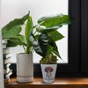 speecheese Lucky Mushroom Flower Pot Mushroom Illustration with Cute Face