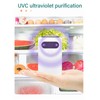 Mini Ozone Air Purifier Odor Removal Efficient Purification Low Noise