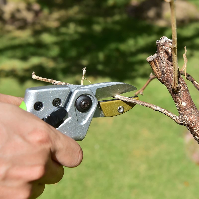 YARDSMITH Anvil Pruning Shears, Pruning Shears, Plant Shears, 200 mm,