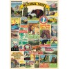 Cavallini & Co. National Parks 20" X 28" Decorative Paper
