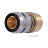SharkBite 1 Inch EvoPEX Female Adapter, Push to Connect Plumbing