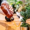 Watering Can for Seedlings, Tiny Watering Bottle for Small Desk