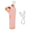 Oxygen Injection Sprayer High Pressure Hydration Portable Skin Care Beauty
